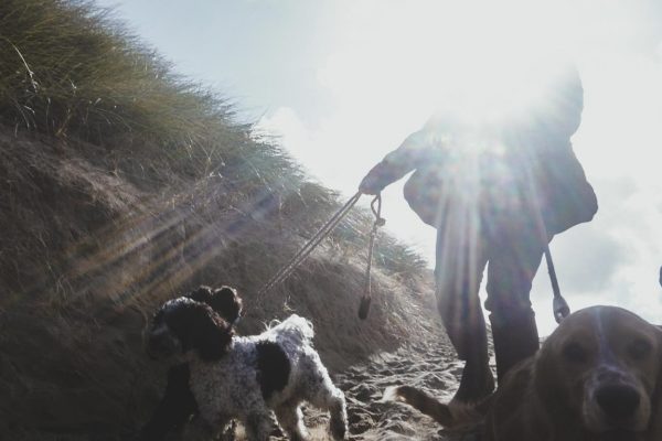 dog-walking-newquay-sand-dunes